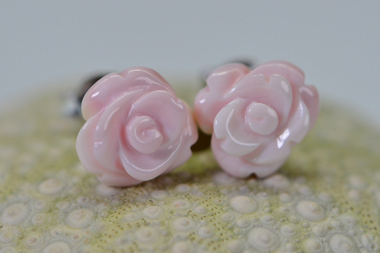 Queen Conch Carved Rose Stud Earrings, Sterling Silver Floral (10mm)