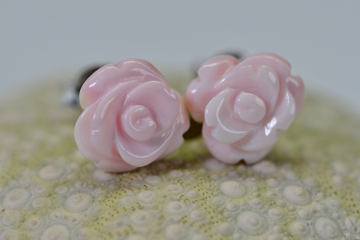 Queen Conch Carved Rose Stud Earrings, Sterling Silver Floral (10mm)
