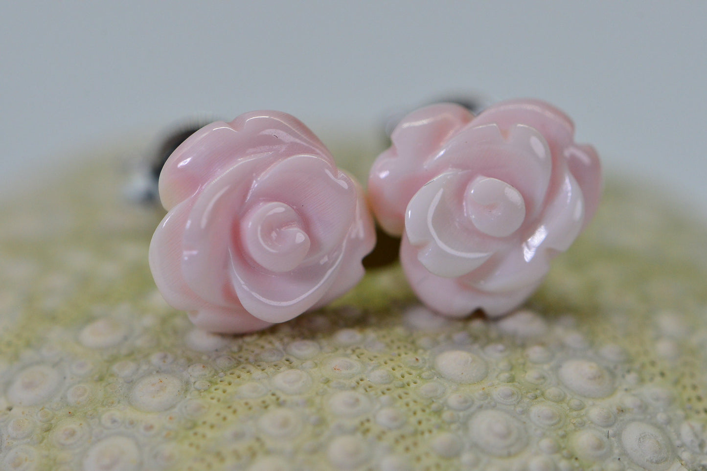 Queen Conch Carved Rose Stud Earrings, Sterling Silver Floral (10mm)