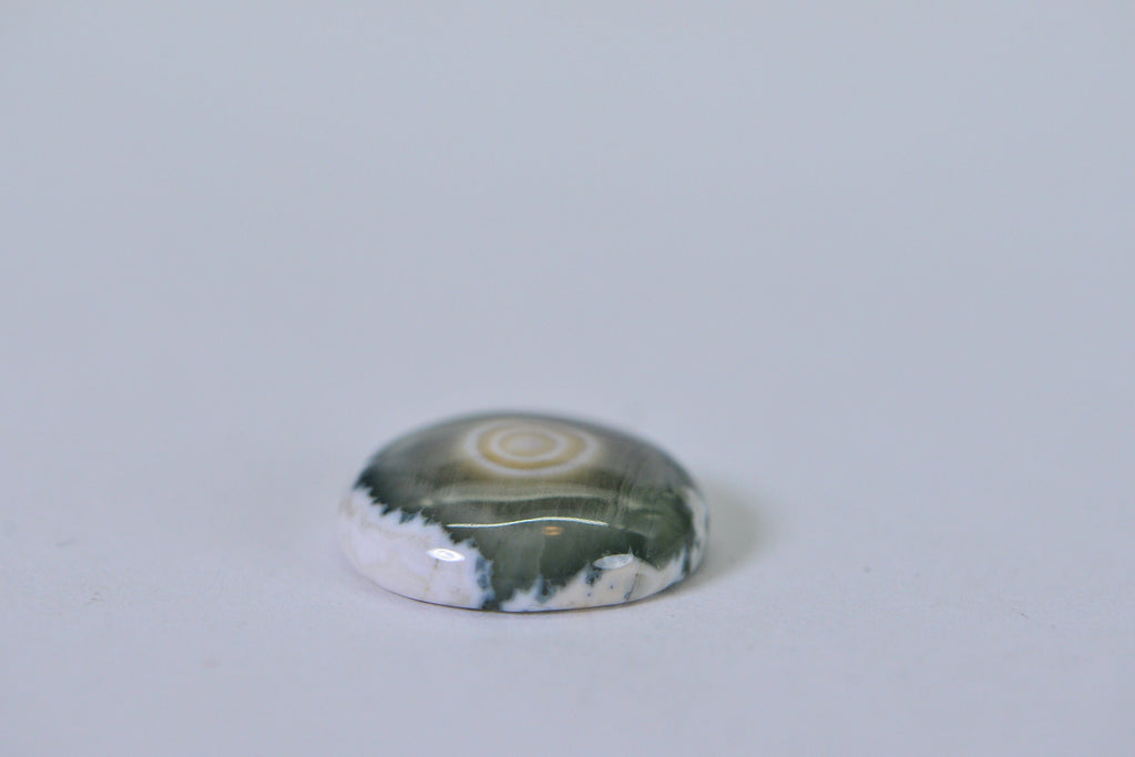 Ocean Jasper Cabochon: Round Gemstone, 16x5.6mm