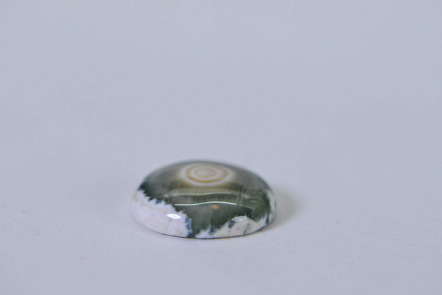 Ocean Jasper Cabochon: Round Gemstone, 16x5.6mm