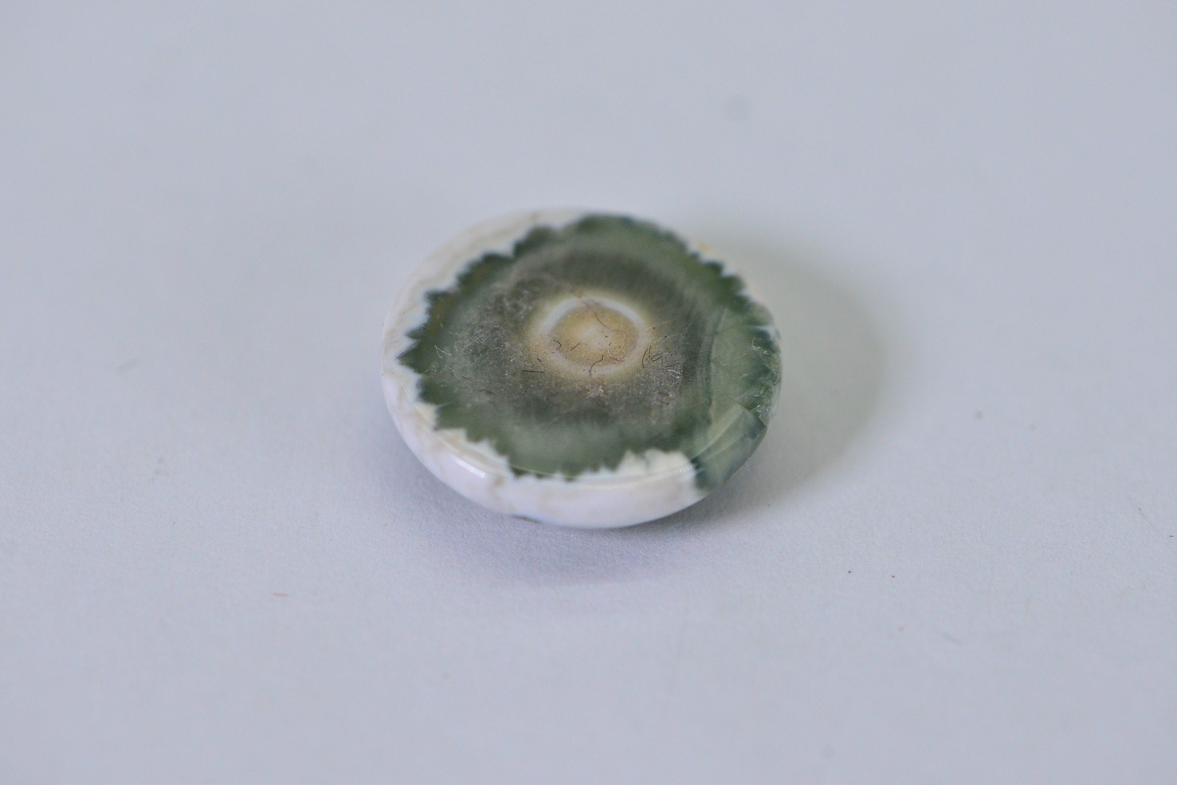 Ocean Jasper Cabochon: Round Gemstone, 16x5.6mm