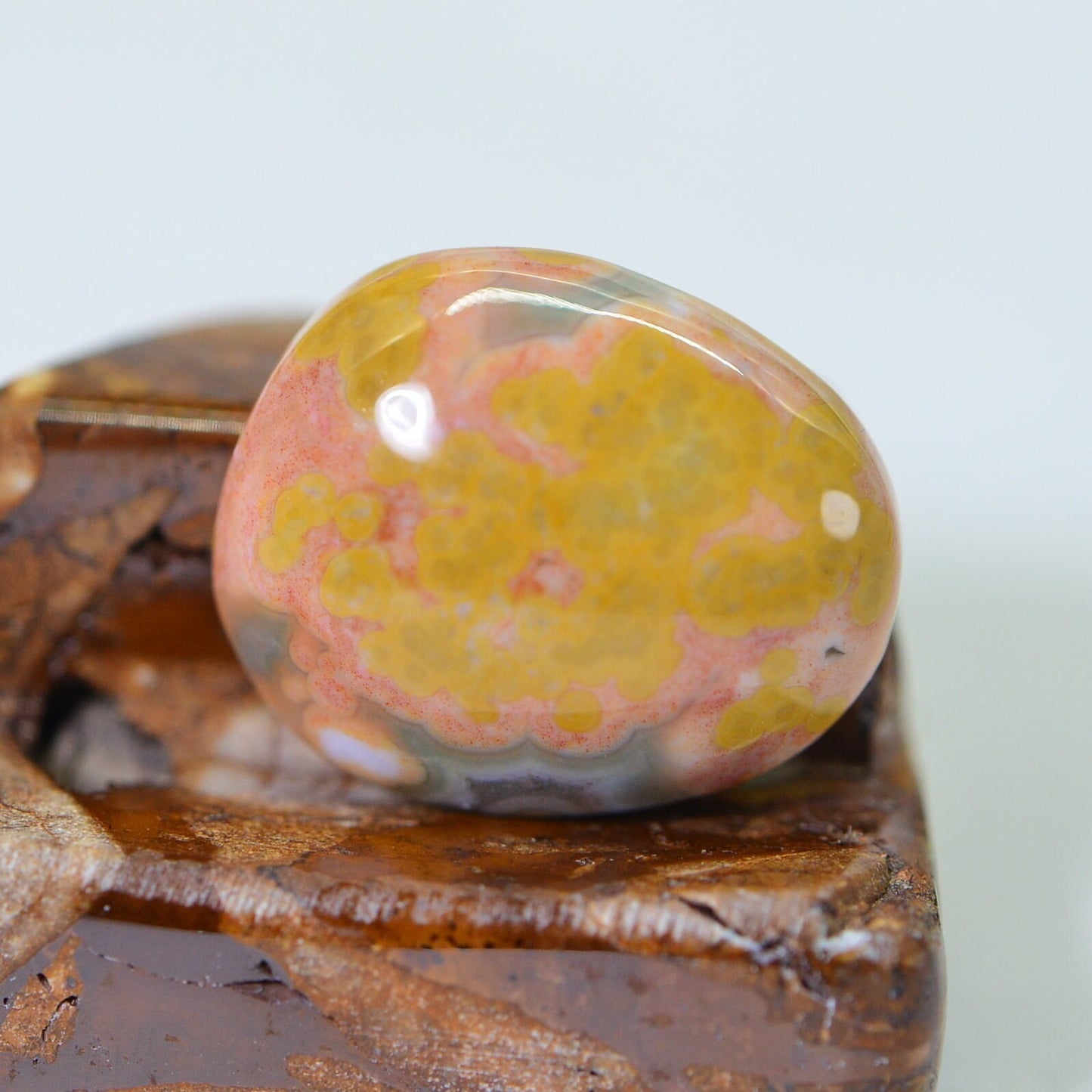 Ocean Jasper Freeform Cabochon: Natural Madagascar Gemstone (17.5x14.75x5.6mm)