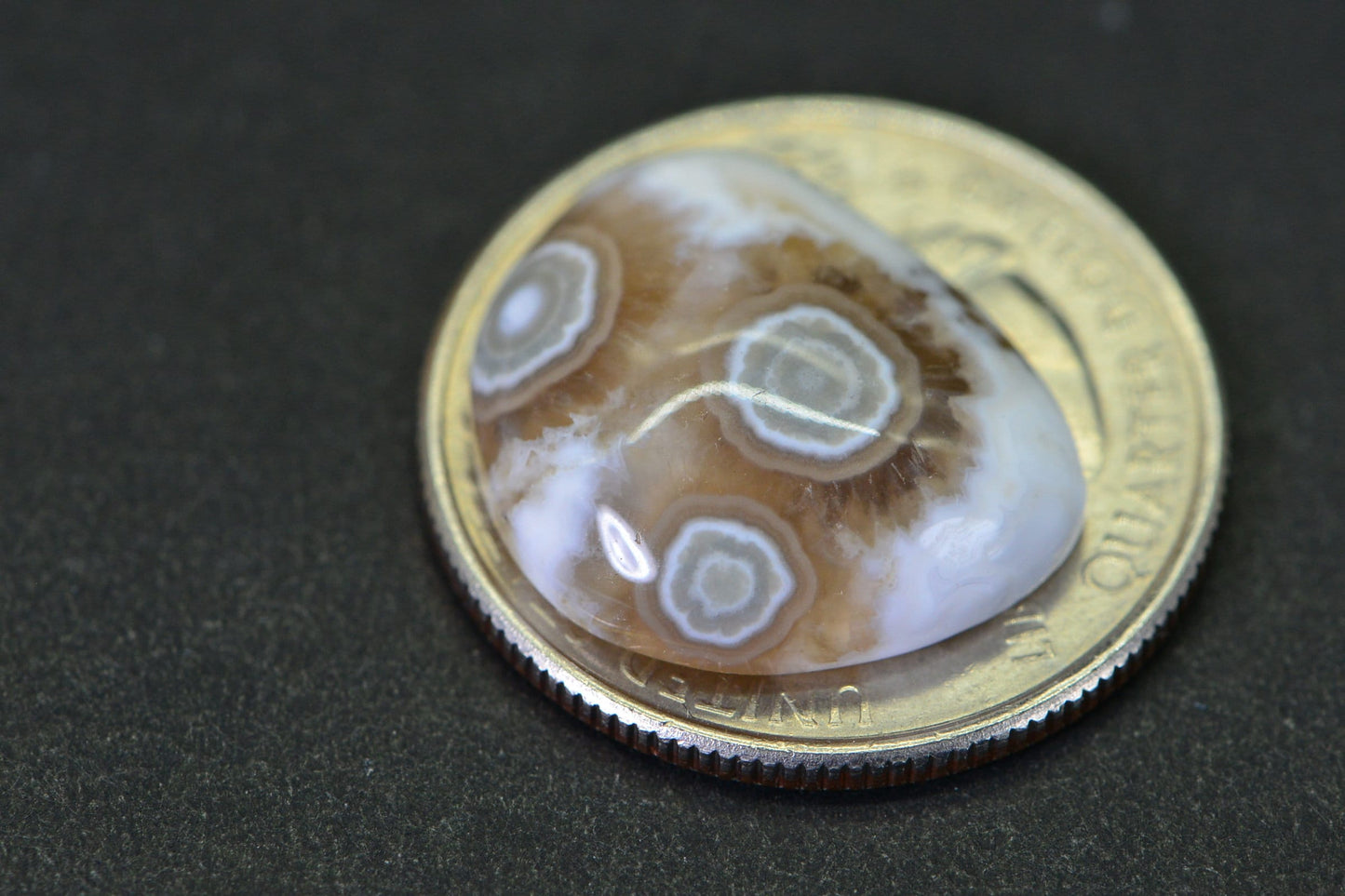 Natural Ocean Jasper Cabochon: Green & White Gemstone (19x16.2x5.95mm)