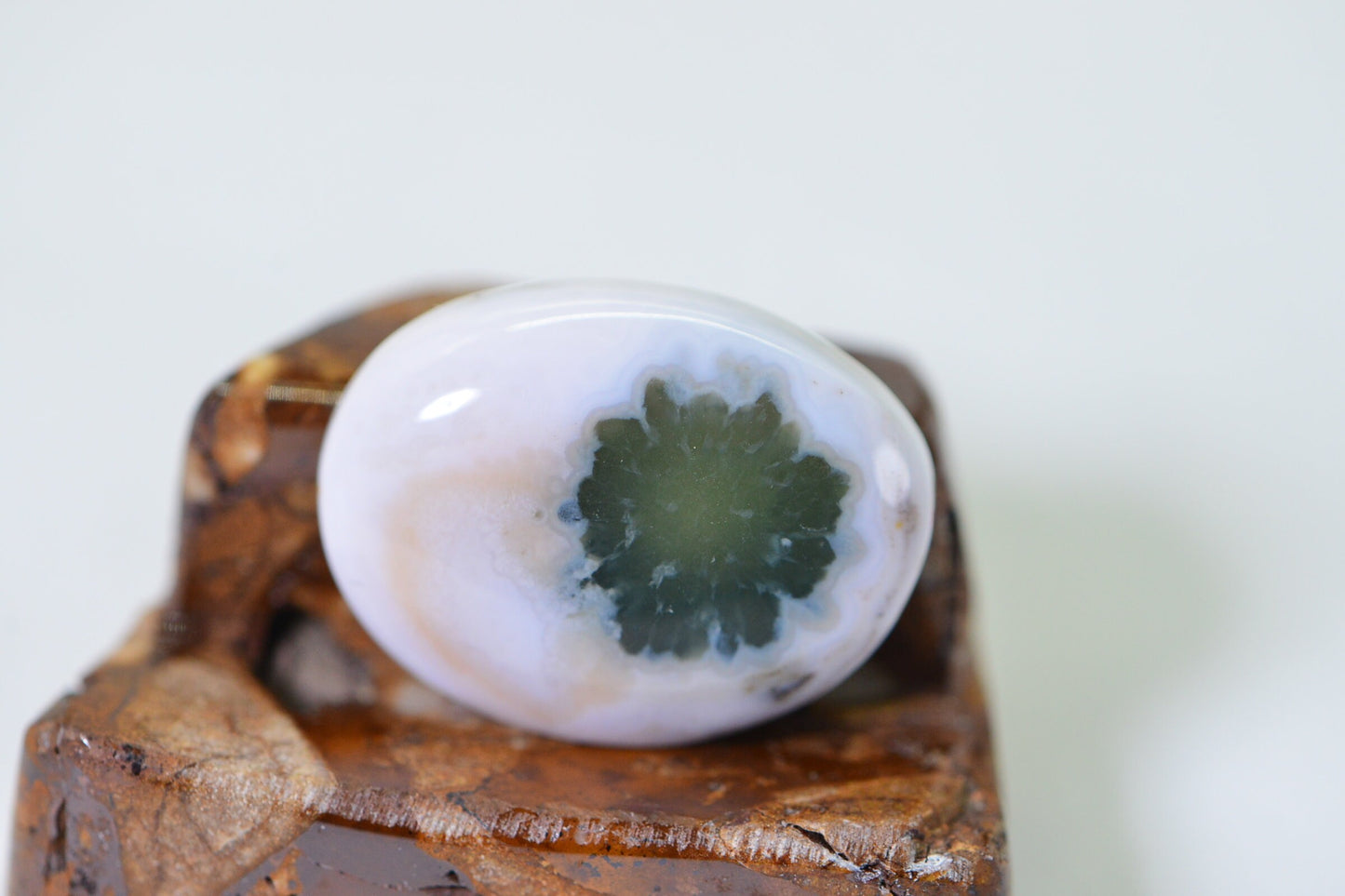 Ocean Jasper Cabochon: Green & White Gemstone, 19x14.5mm