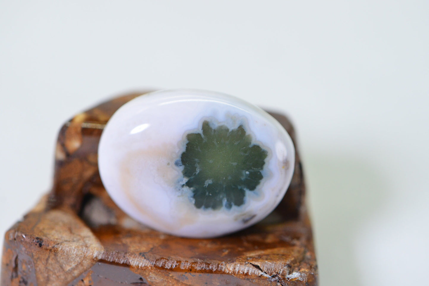Ocean Jasper Cabochon: Green & White Gemstone, 19x14.5mm