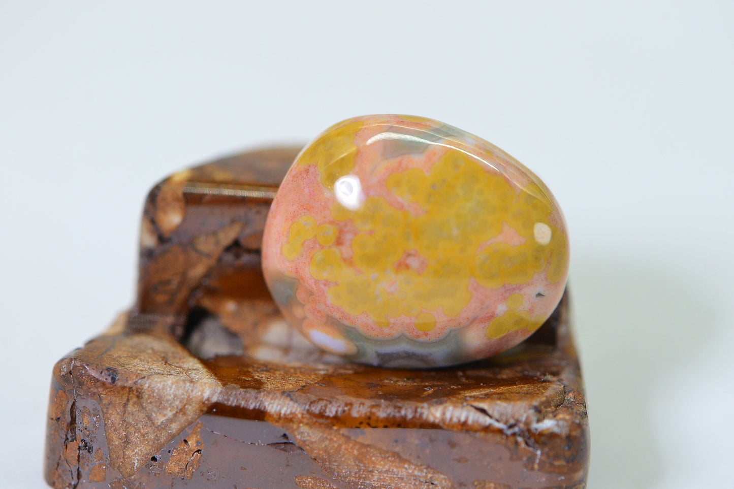 Ocean Jasper Freeform Cabochon: Natural Madagascar Gemstone (17.5x14.75x5.6mm)
