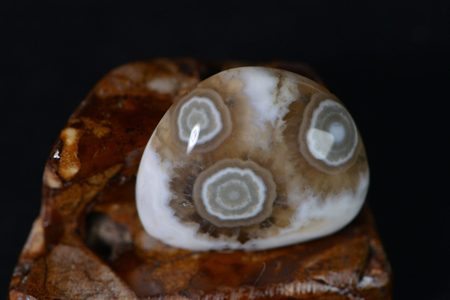 Natural Ocean Jasper Cabochon: Green & White Gemstone (19x16.2x5.95mm)