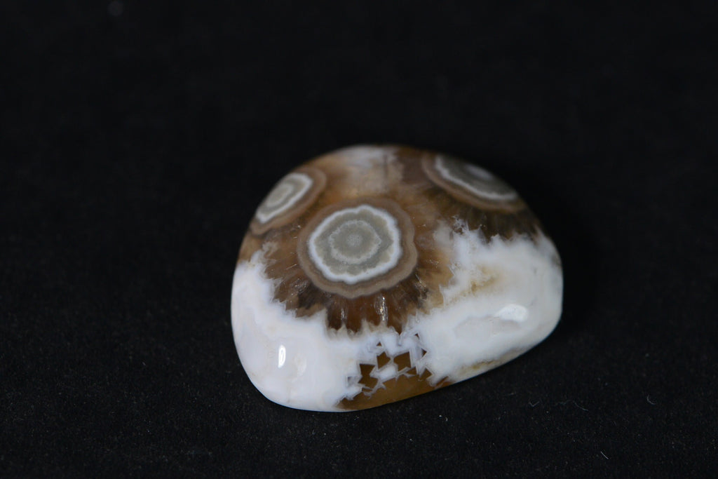 Natural Ocean Jasper Cabochon: Green & White Gemstone (19x16.2x5.95mm)