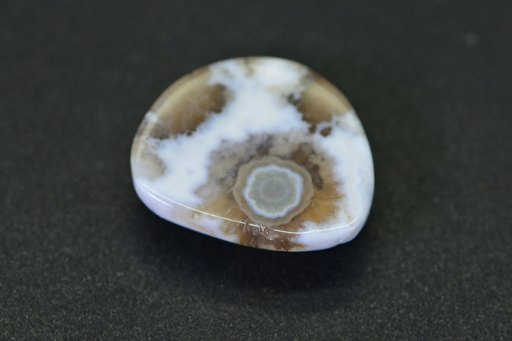 Natural Ocean Jasper Cabochon: Green & White Gemstone (19x16.2x5.95mm)