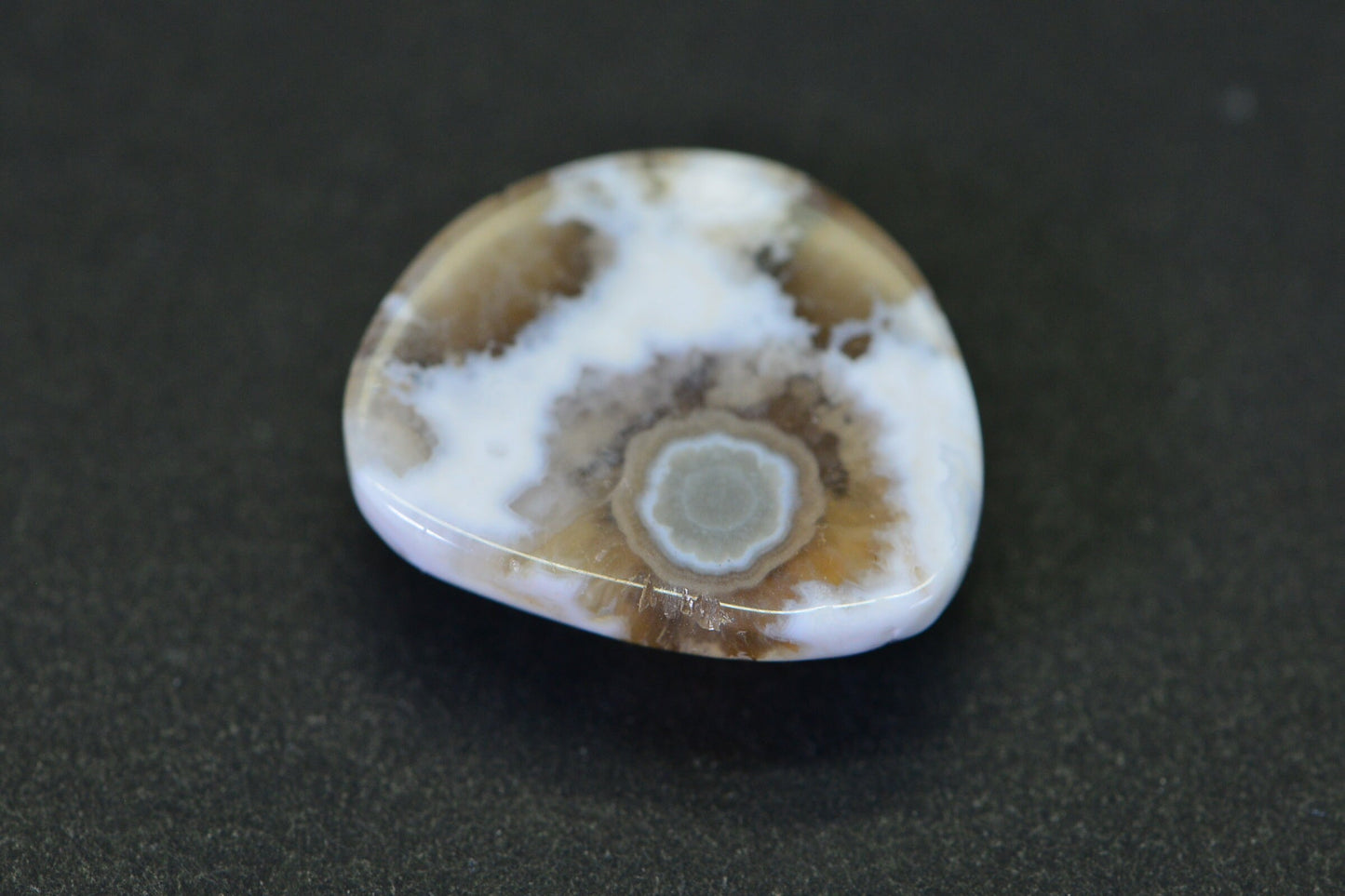 Natural Ocean Jasper Cabochon: Green & White Gemstone (19x16.2x5.95mm)