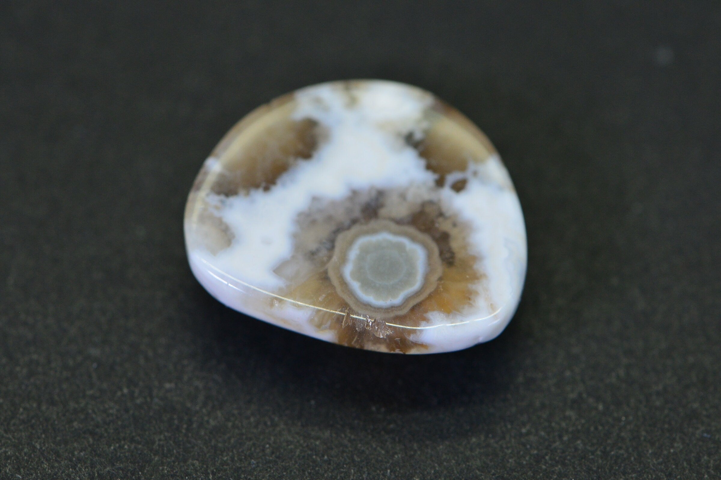 Natural Ocean Jasper Cabochon: Green & White Gemstone (19x16.2x5.95mm)