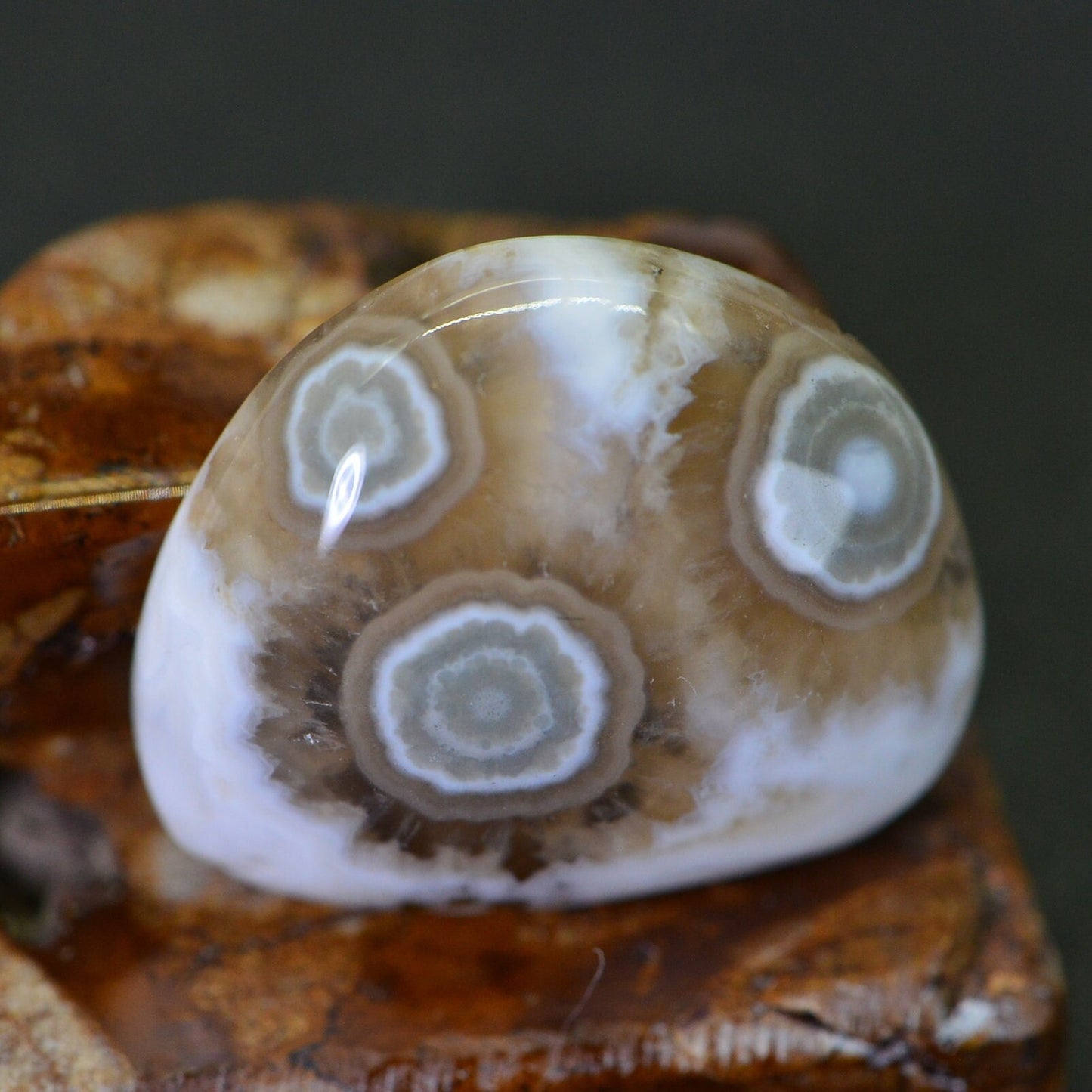 Natural Ocean Jasper Cabochon: Green & White Gemstone (19x16.2x5.95mm)