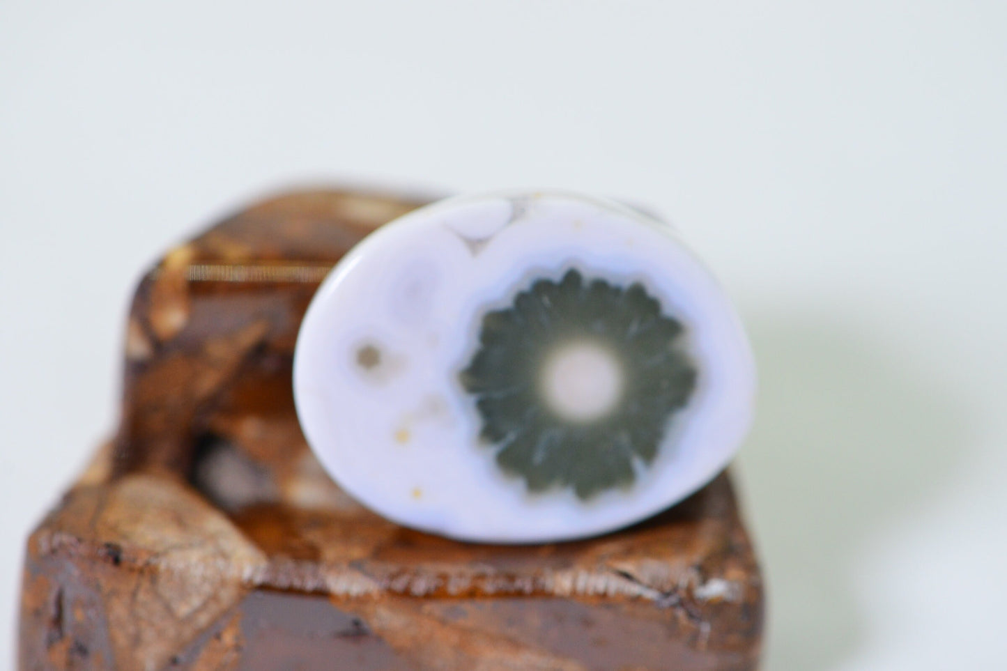 Ocean Jasper Cabochon: Green & White Gemstone, 19x14.5mm