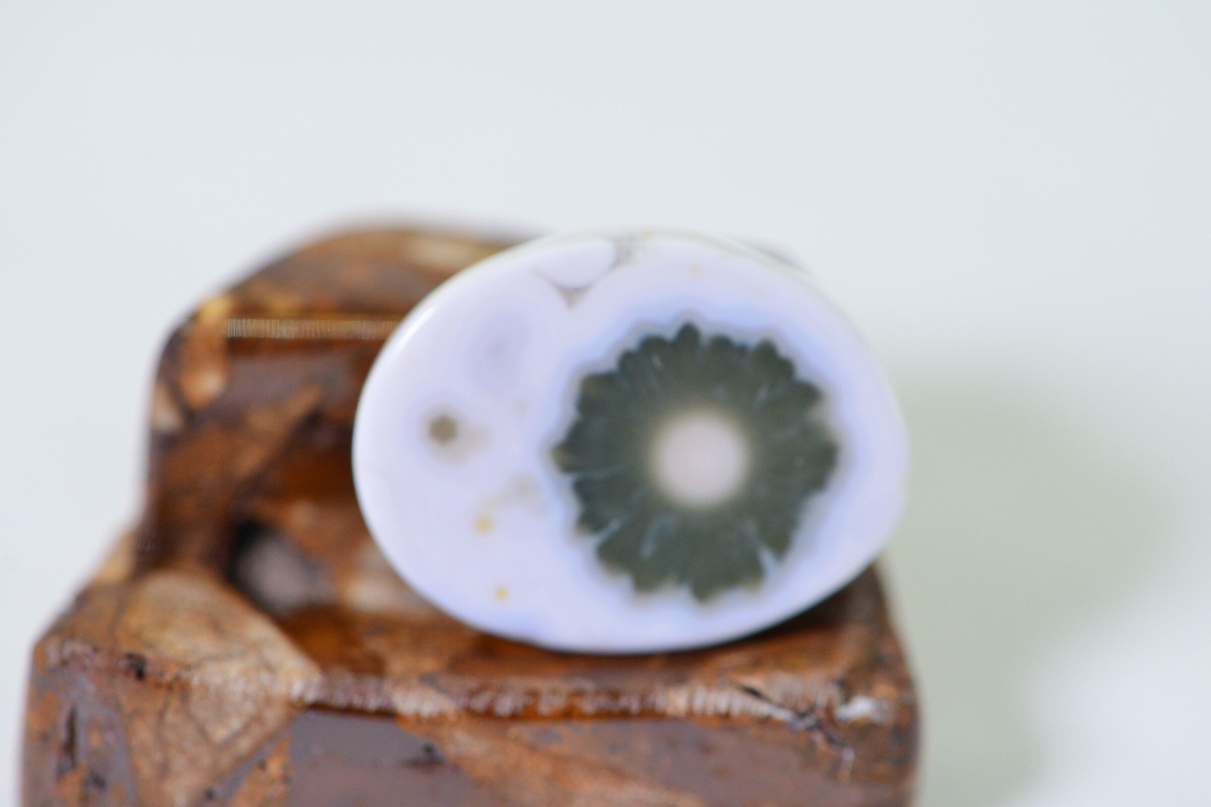 Ocean Jasper Cabochon: Green & White Gemstone, 19x14.5mm