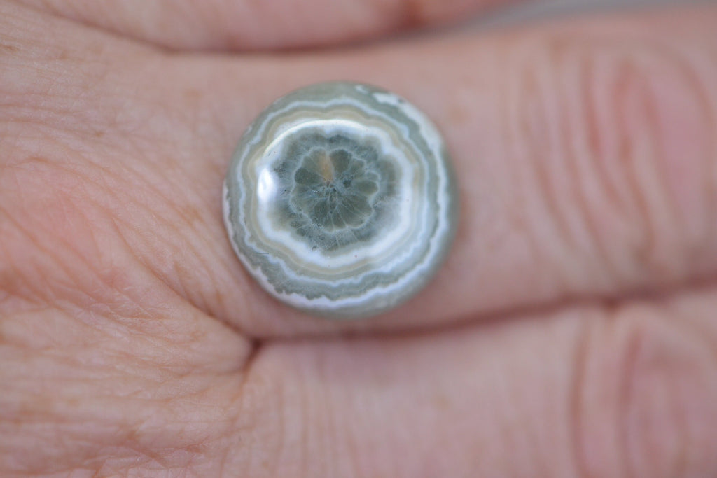 Ocean Jasper Cabochon: Round Gemstone for Jewelry (16x5.6mm)