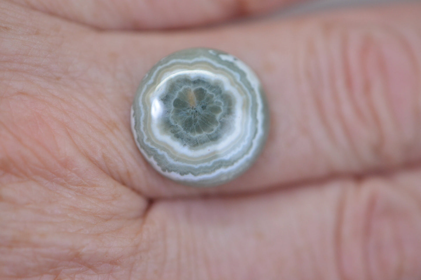 Ocean Jasper Cabochon: Round Gemstone for Jewelry (16x5.6mm)