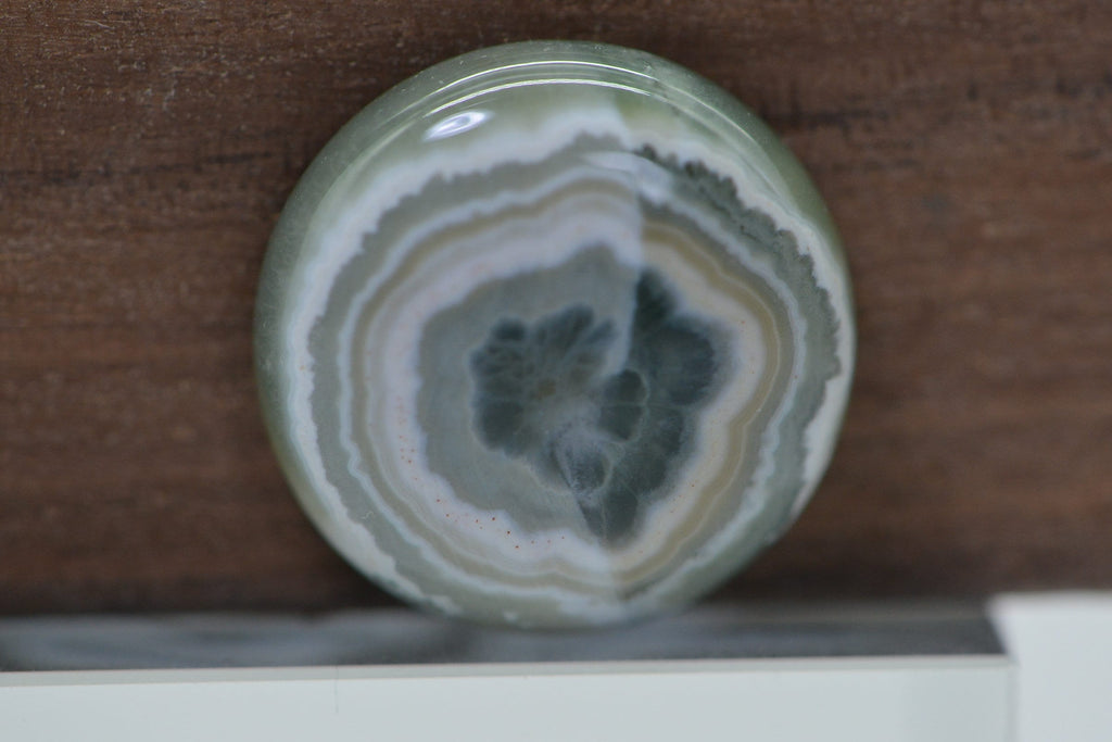 Ocean Jasper Cabochon: Round Gemstone for Jewelry (16x5.6mm)