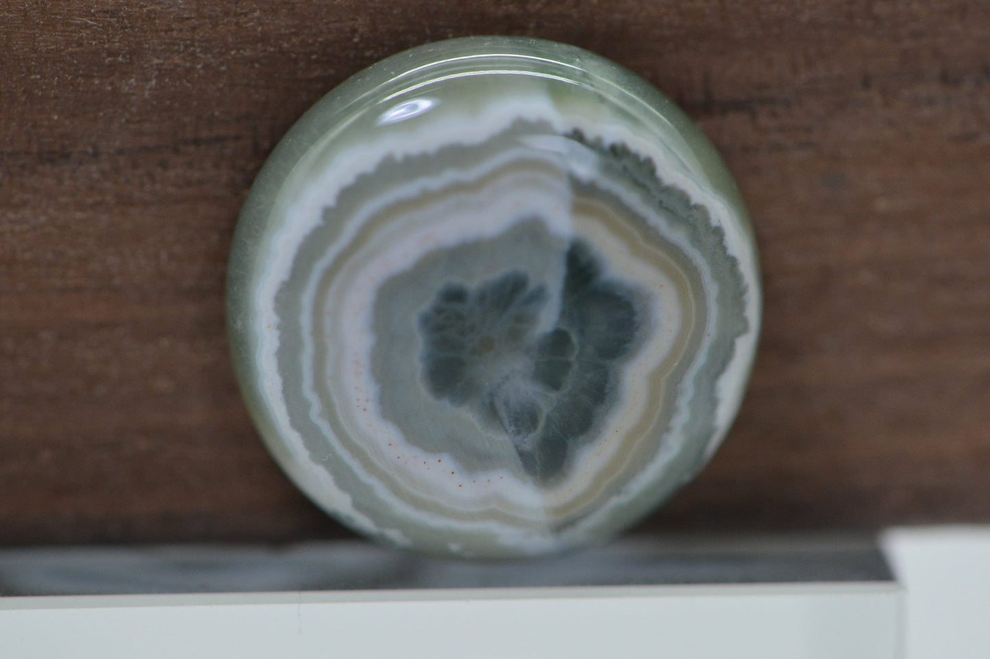 Ocean Jasper Cabochon: Round Gemstone for Jewelry (16x5.6mm)