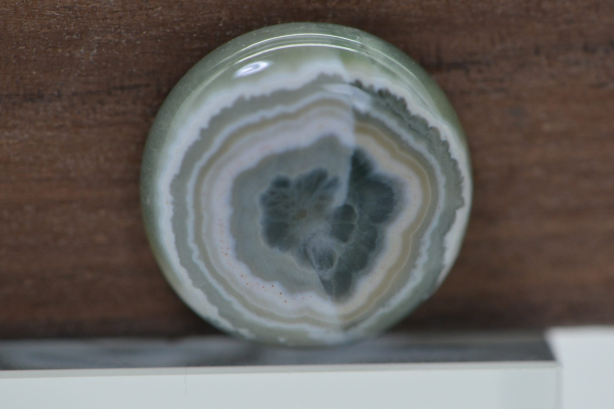 Ocean Jasper Cabochon: Round Gemstone for Jewelry (16x5.6mm)