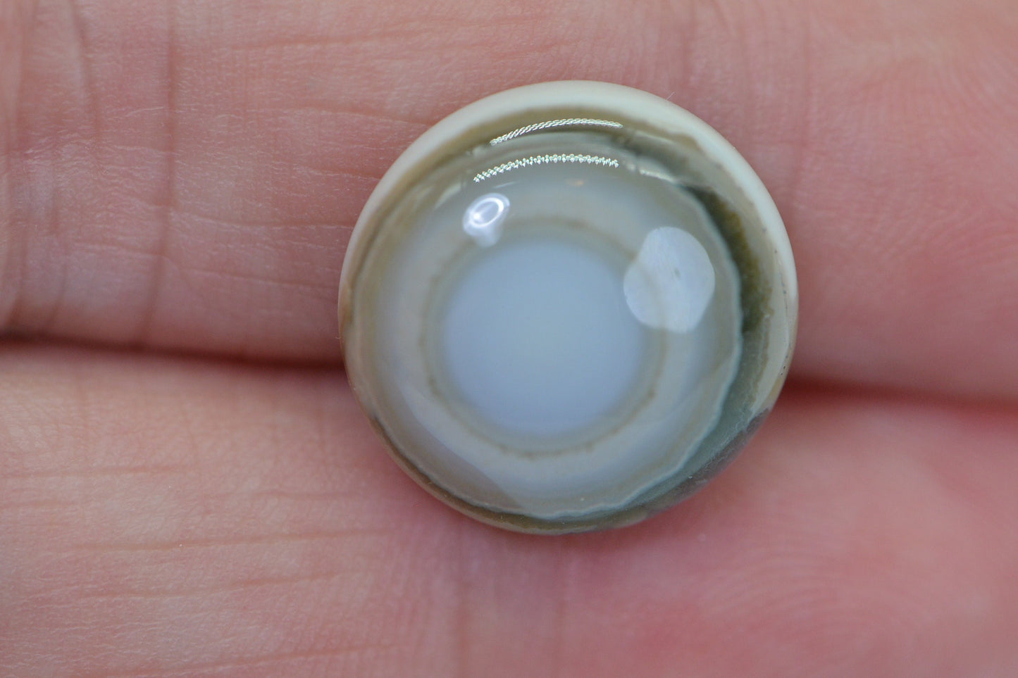 Ocean Jasper Cabochon: Round Gemstone, 15.9x6.2mm