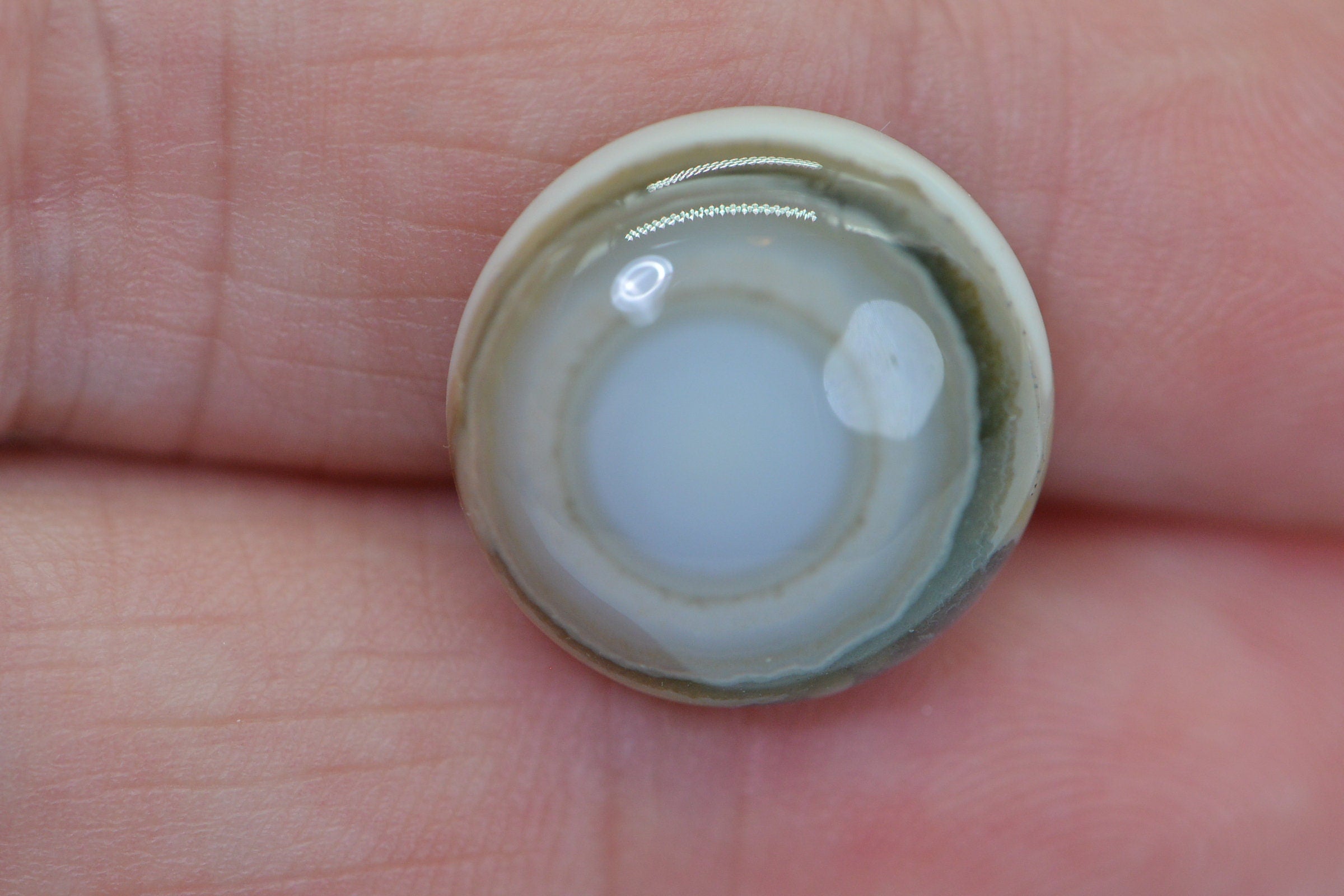 Ocean Jasper Cabochon: Round Gemstone, 15.9x6.2mm