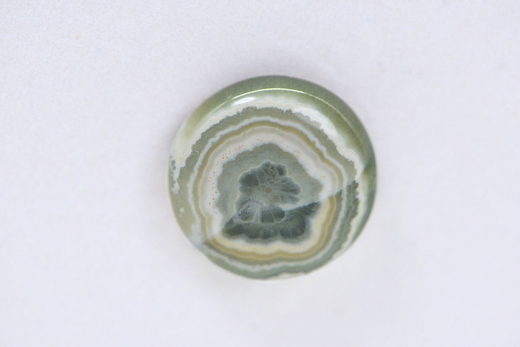 Ocean Jasper Cabochon: Round Gemstone for Jewelry (16x5.6mm)