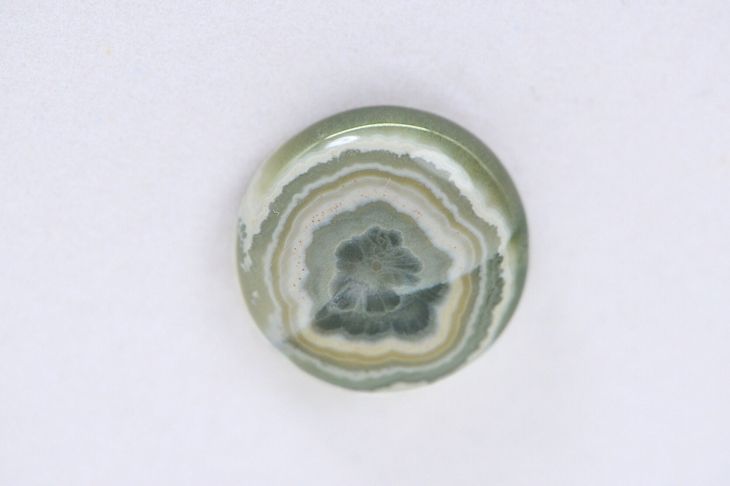 Ocean Jasper Cabochon: Round Gemstone for Jewelry (16x5.6mm)