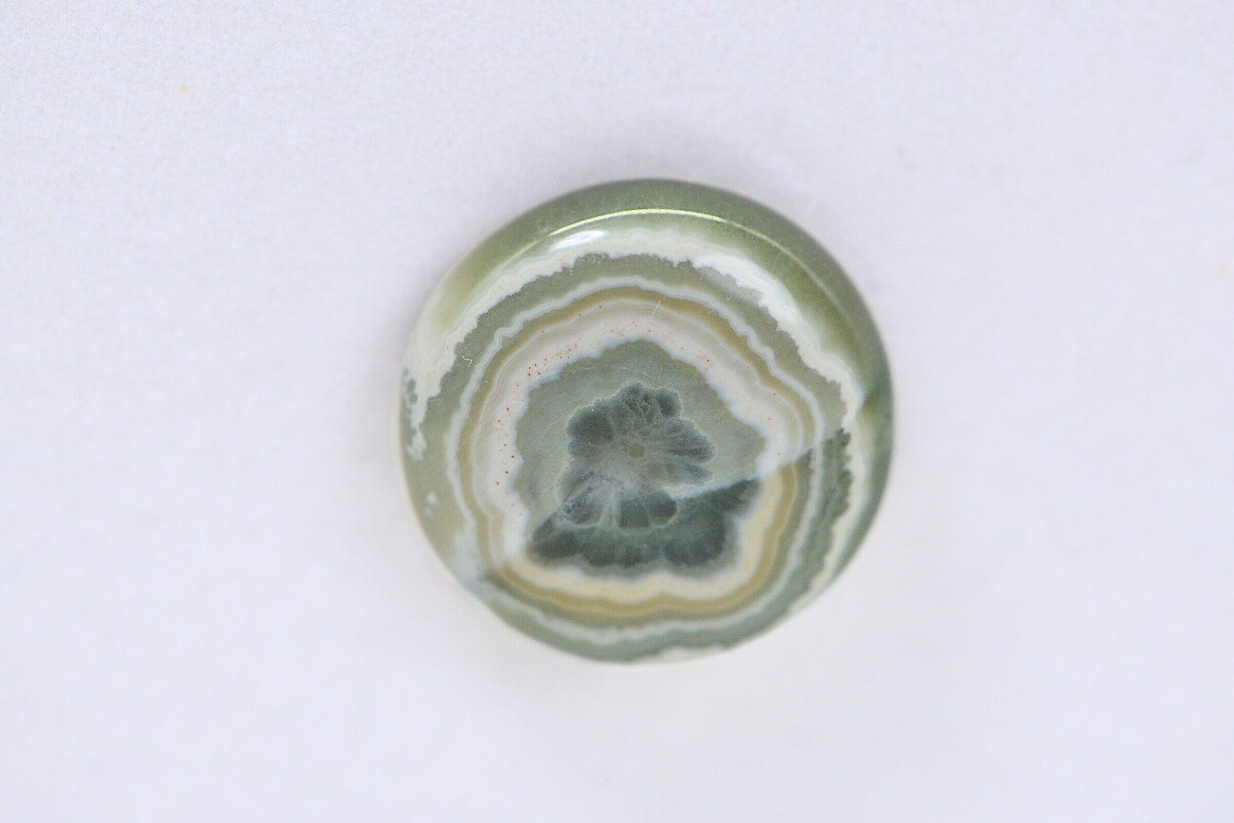 Ocean Jasper Cabochon: Round Gemstone for Jewelry (16x5.6mm)