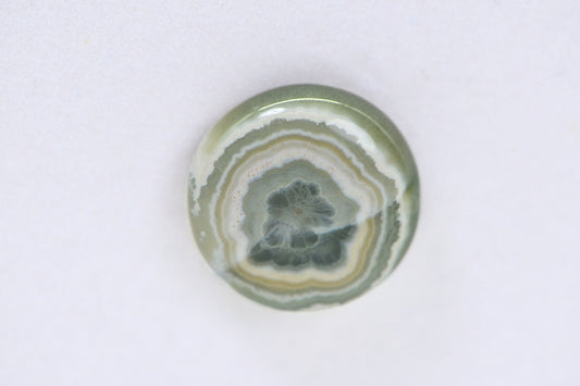 Ocean Jasper Cabochon: Round Gemstone for Jewelry (16x5.6mm)