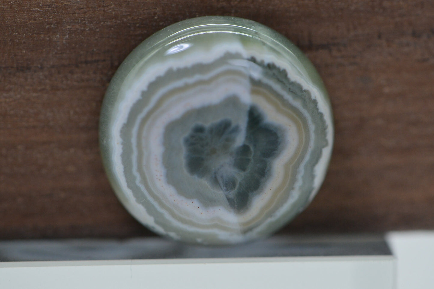 Ocean Jasper Cabochon: Round Gemstone for Jewelry (16x5.6mm)