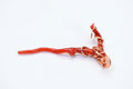 Red Coral Branch Pendant: Wire Wrapped Copper, Italian Coral Charm