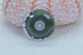 Ocean Jasper Cabochon: Round Gemstone, 16x5.6mm