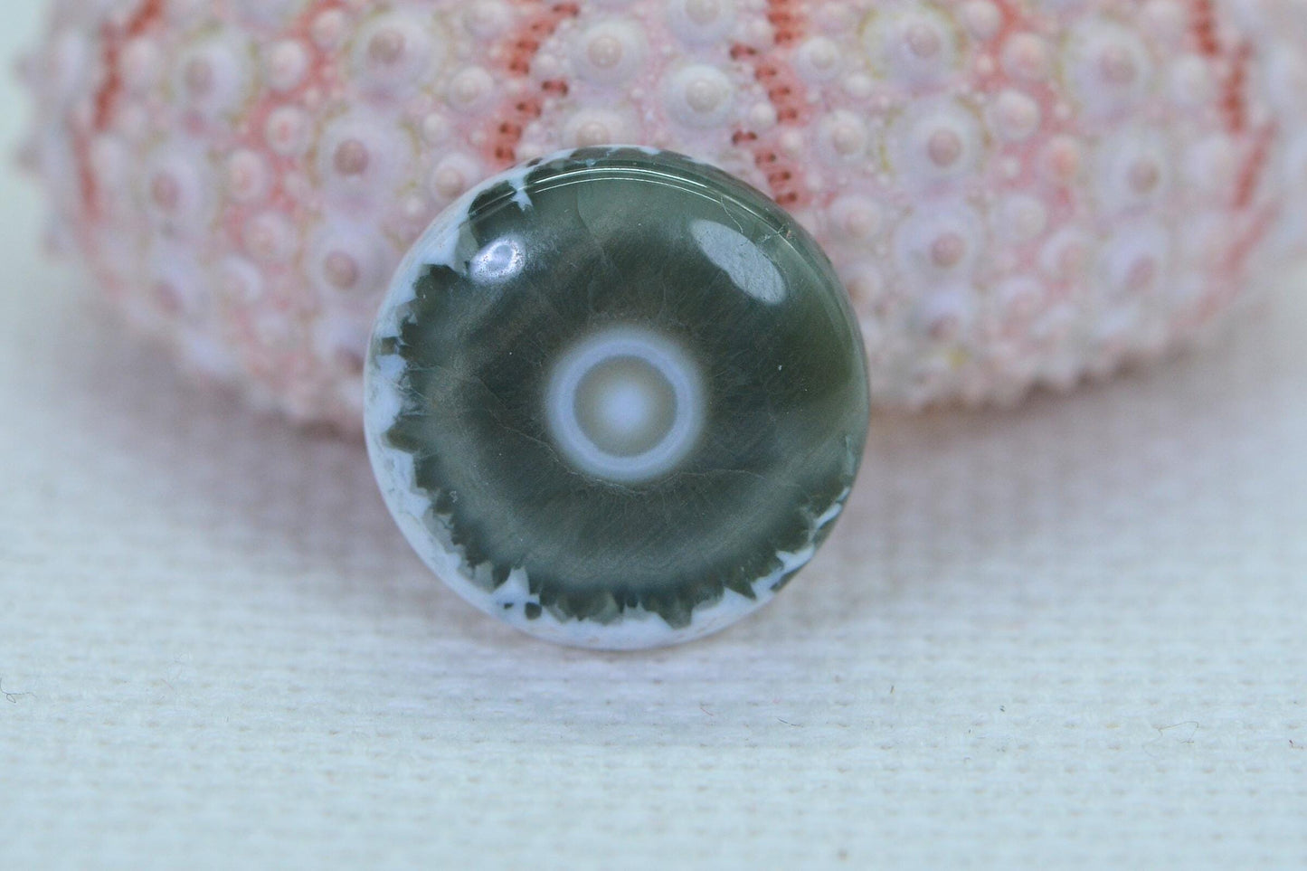 Ocean Jasper Cabochon: Round Gemstone, 16x5.6mm