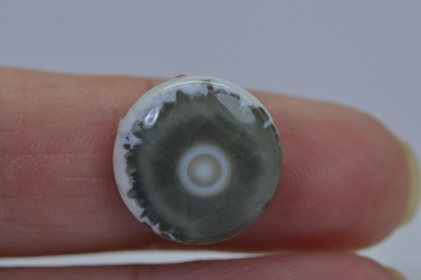 Ocean Jasper Cabochon: Round Gemstone, 16x5.6mm
