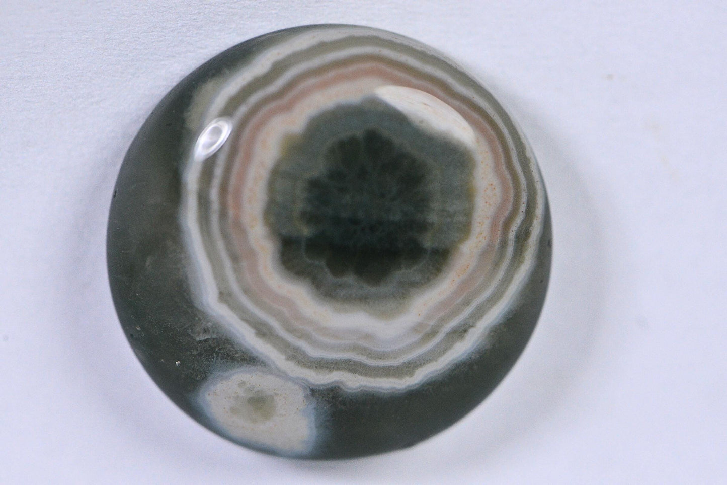 Natural Ocean Jasper Cabochon: Round Gemstone, 16x5.6mm