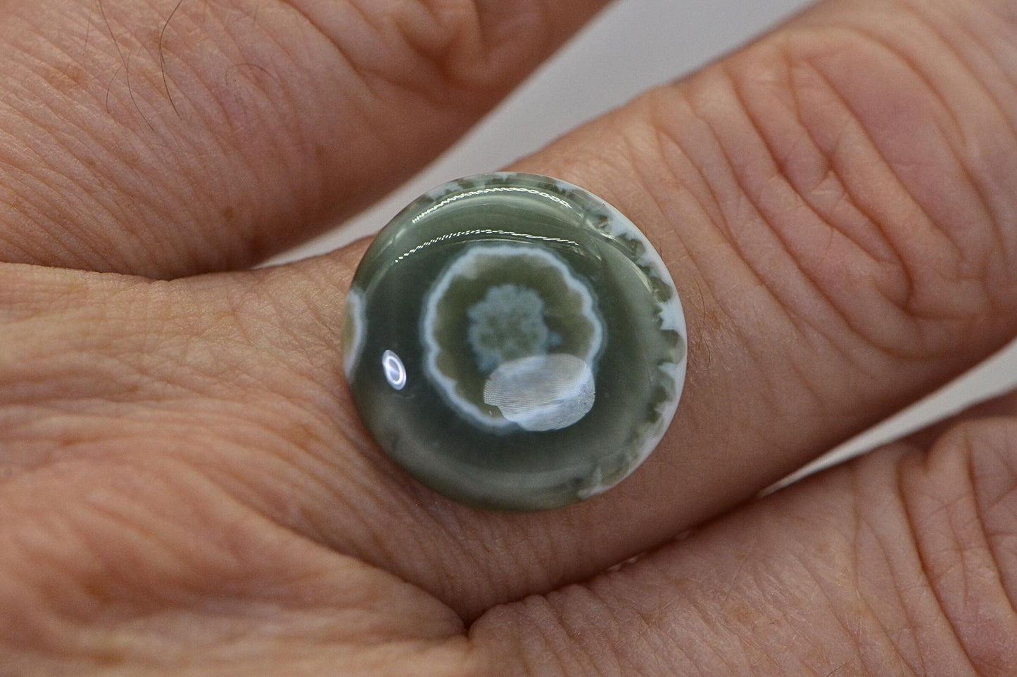 Ocean Jasper  Cabochon  Round Smooth 16mm Natural Gemstone Cabochon