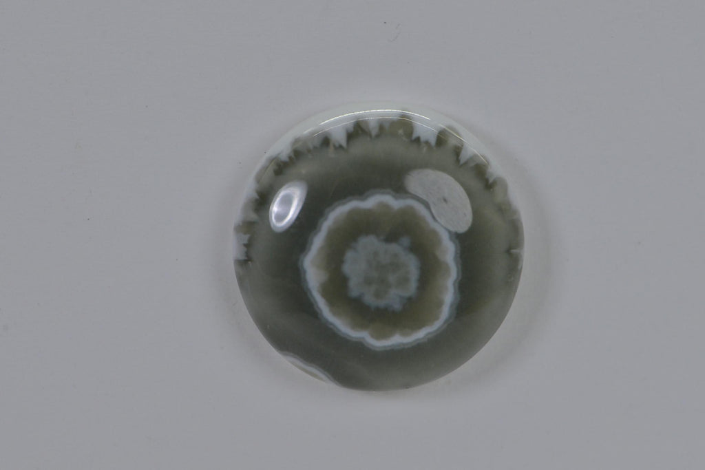 Ocean Jasper  Cabochon  Round Smooth 16mm Natural Gemstone Cabochon