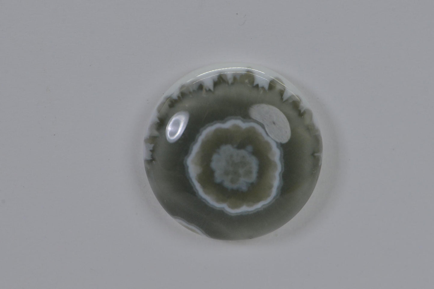 Ocean Jasper  Cabochon  Round Smooth 16mm Natural Gemstone Cabochon