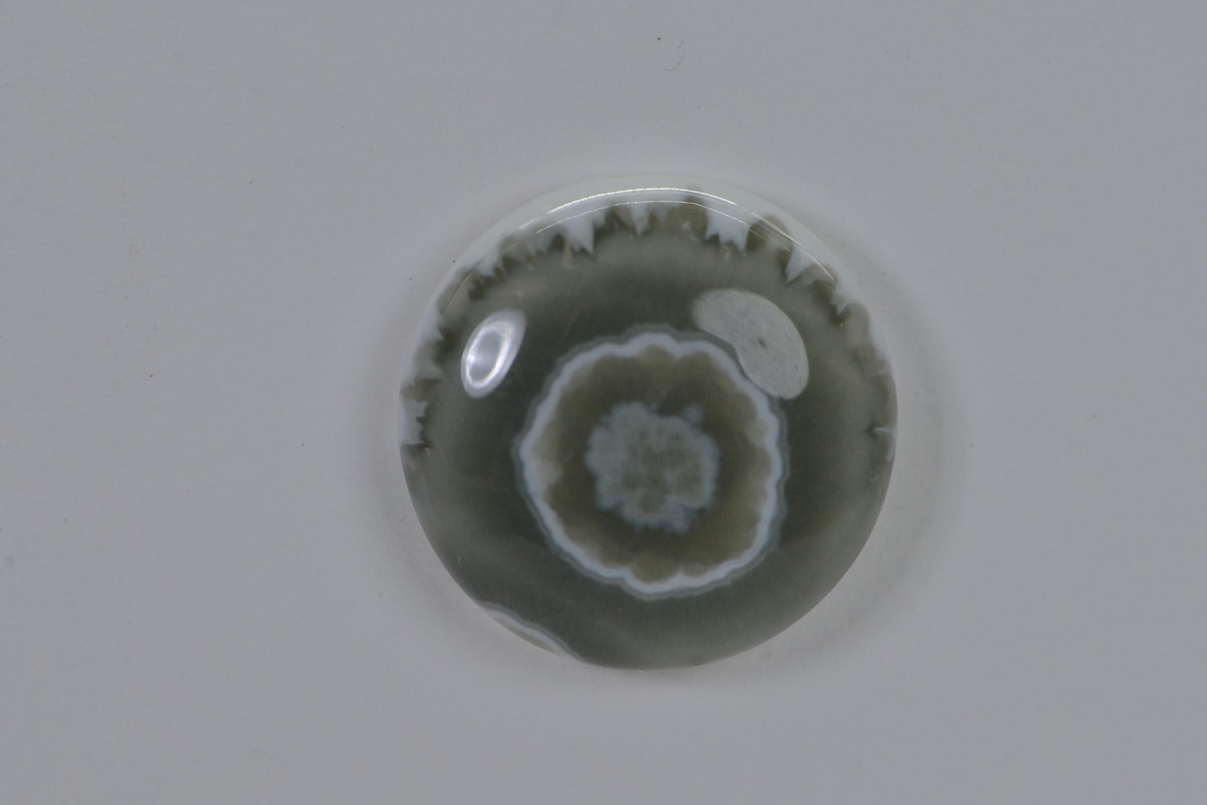 Ocean Jasper  Cabochon  Round Smooth 16mm Natural Gemstone Cabochon