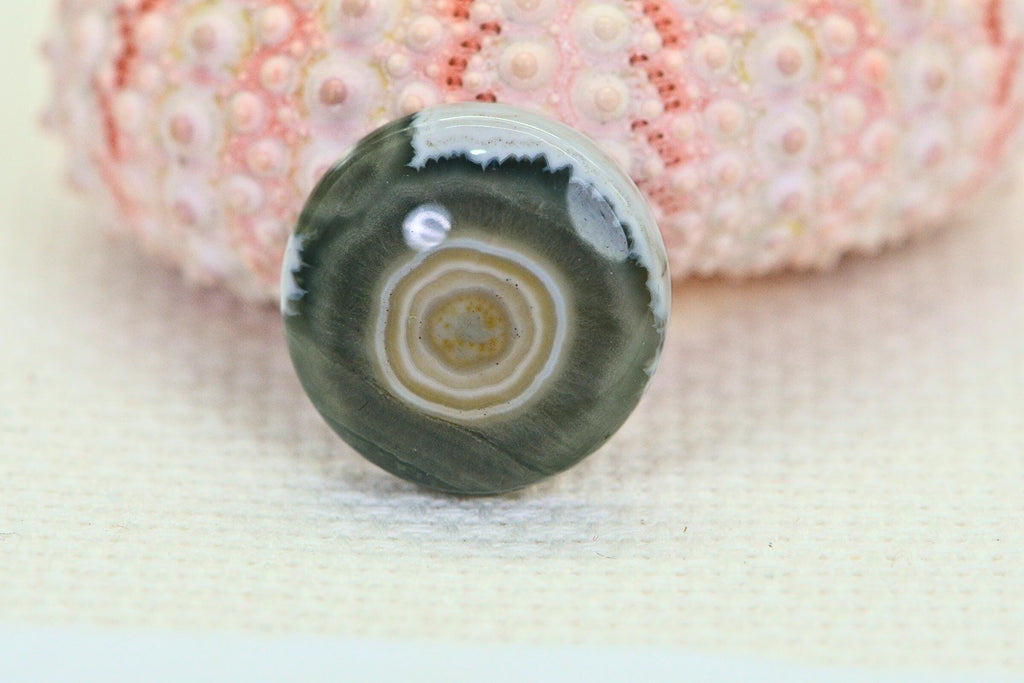 Natural Ocean Jasper Cabochon: Round Gemstone, 16x5.6mm