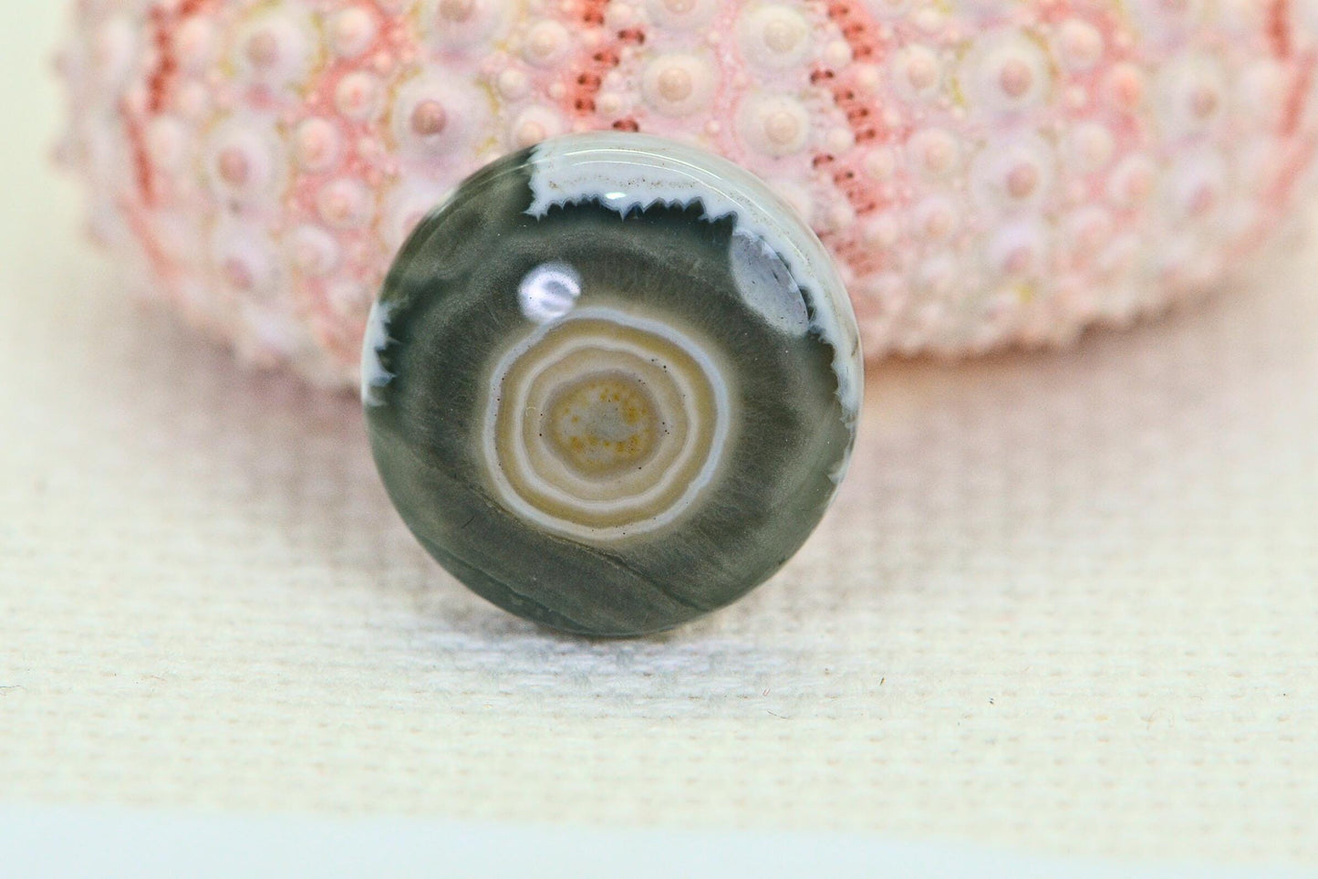 Natural Ocean Jasper Cabochon: Round Gemstone, 16x5.6mm