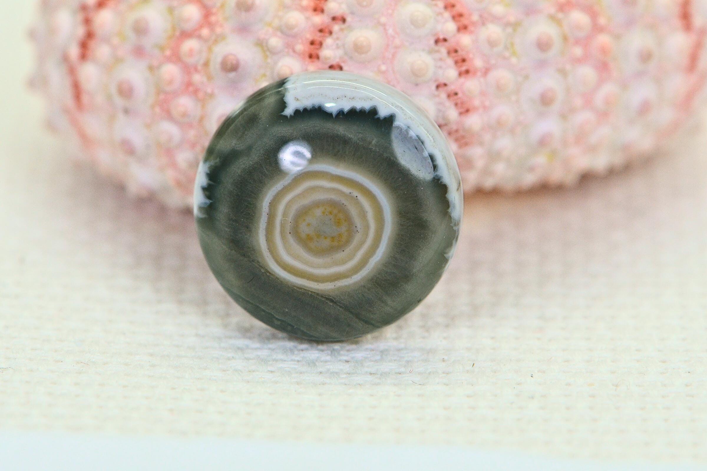Natural Ocean Jasper Cabochon: Round Gemstone, 16x5.6mm