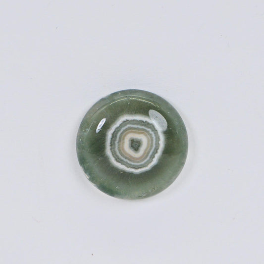 Green Ocean Jasper Cabochon: Round Gemstone for Jewelry Making (16x5.6mm)