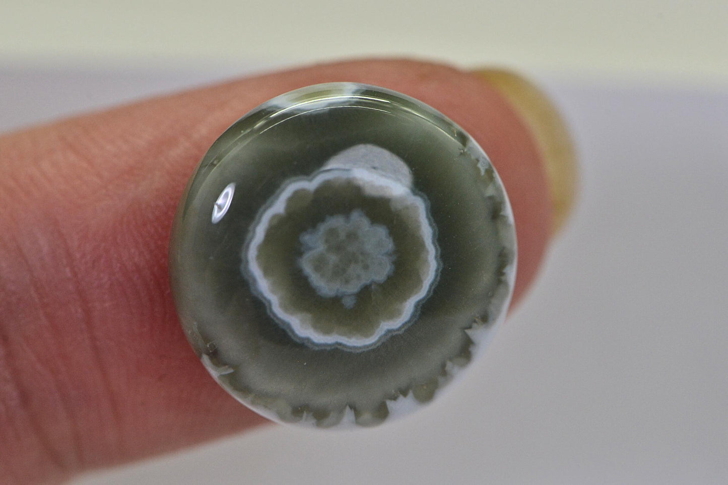 Ocean Jasper  Cabochon  Round Smooth 16mm Natural Gemstone Cabochon