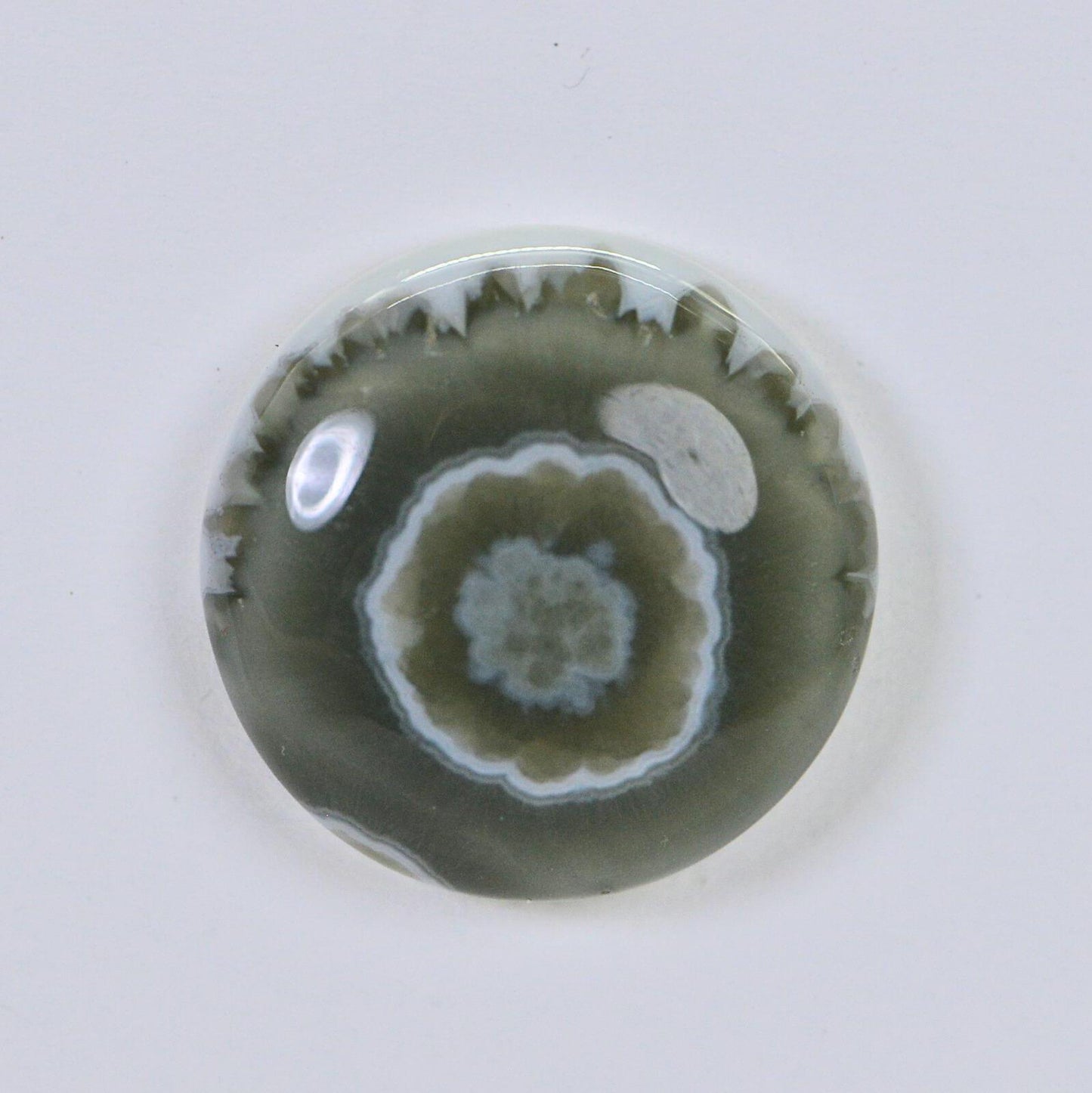 Ocean Jasper  Cabochon  Round Smooth 16mm Natural Gemstone Cabochon
