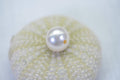 AA White South Sea Pearl: Large Hole Tahitian Loose Pearl (13mm)