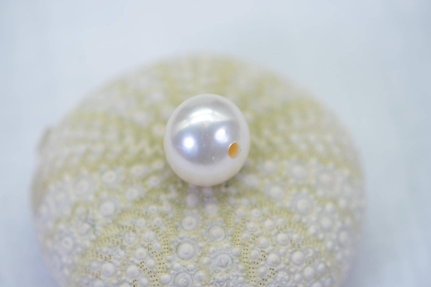 AA White South Sea Pearl: Large Hole Tahitian Loose Pearl (13mm)