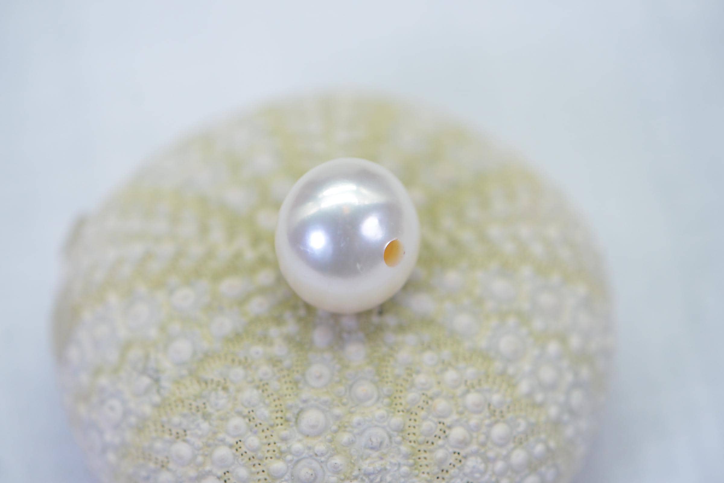 AA White South Sea Pearl: Large Hole Tahitian Loose Pearl (13mm)