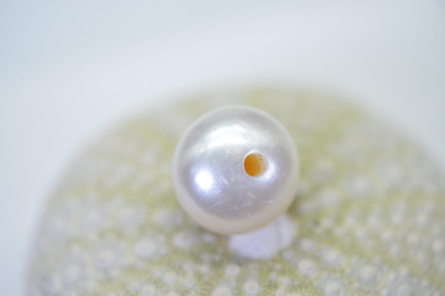 AA White South Sea Pearl: Large Hole Tahitian Loose Pearl (13mm)